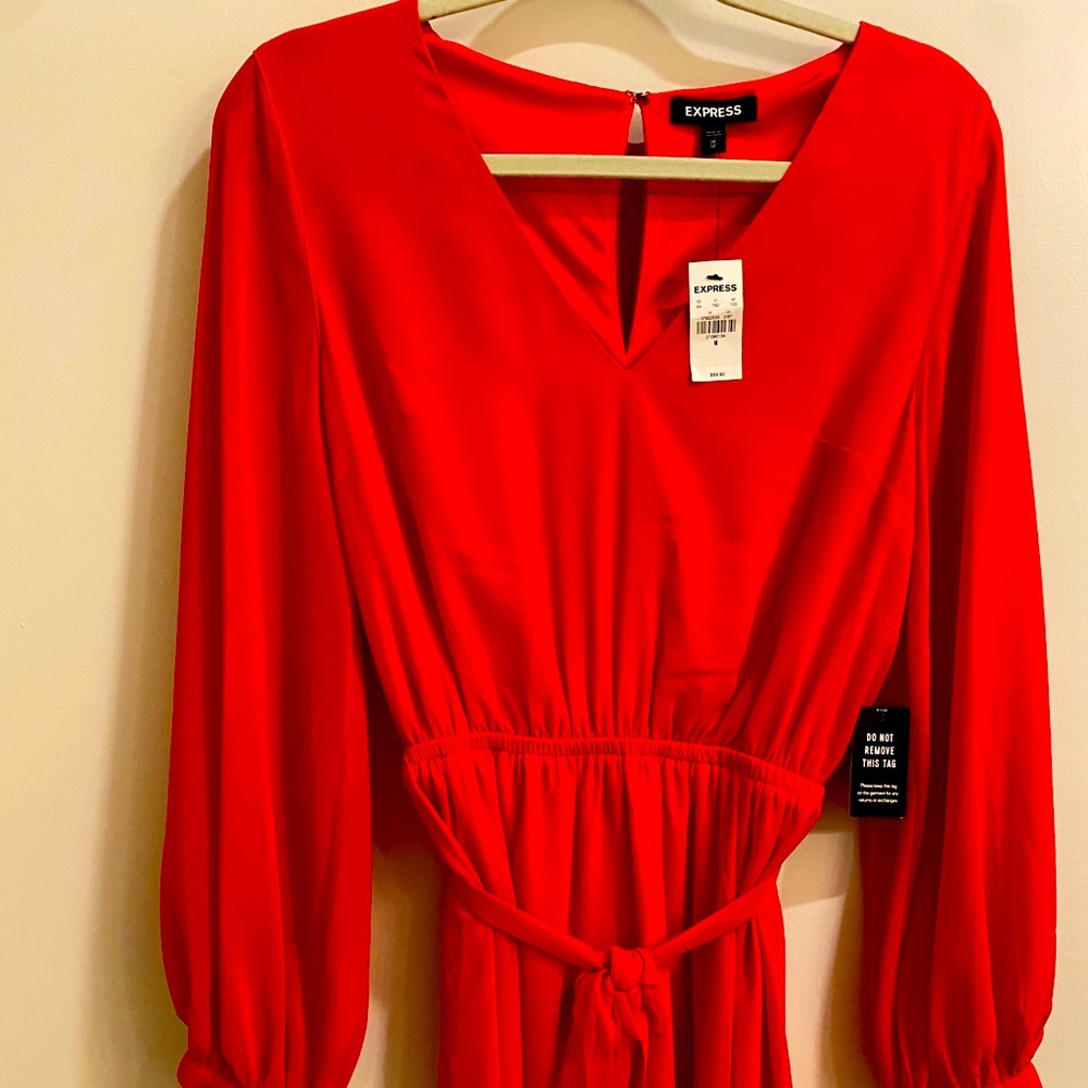 Express mini dress with sheer sleeves